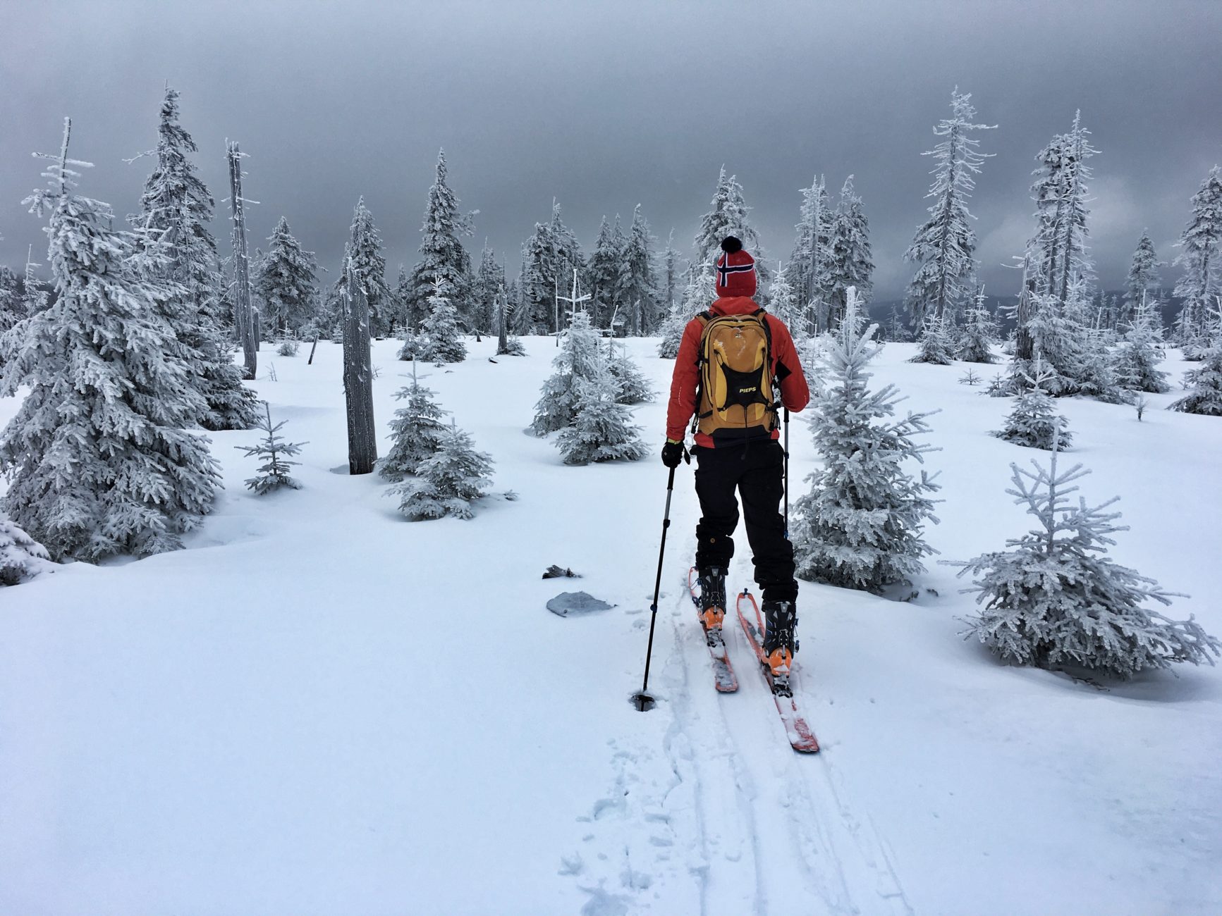 Cross-country skiing